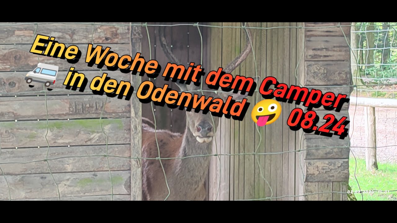 Mit dem Camper in den Odenwald 08/24