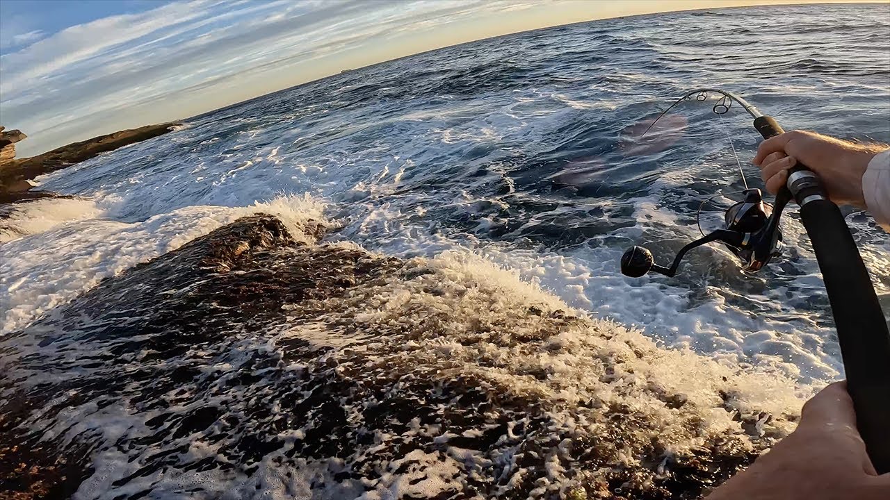 Spinning for bonito at sunrise on a Sydney ledge - Bugsy Fishing Ep 39   4K