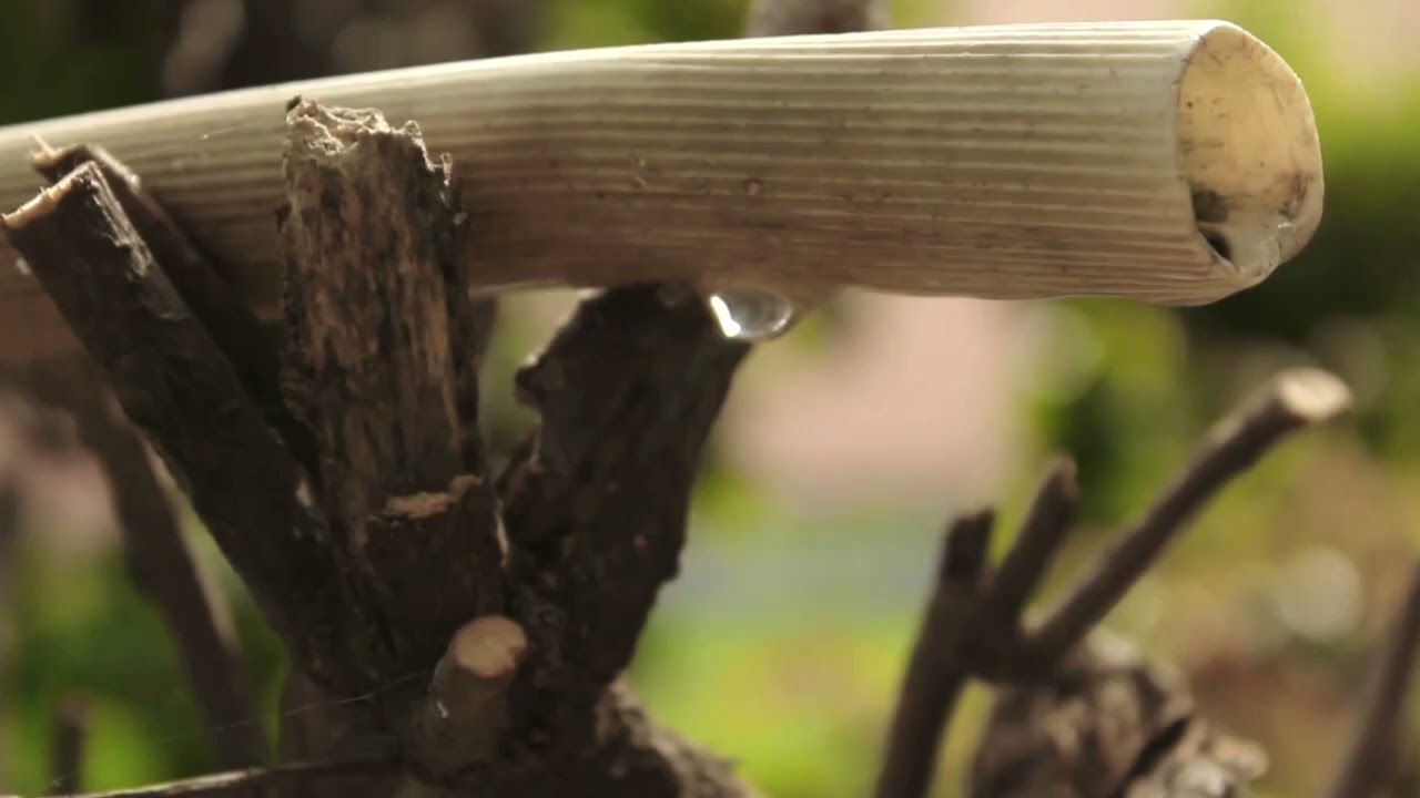 Save Water Public Awareness Main TVC