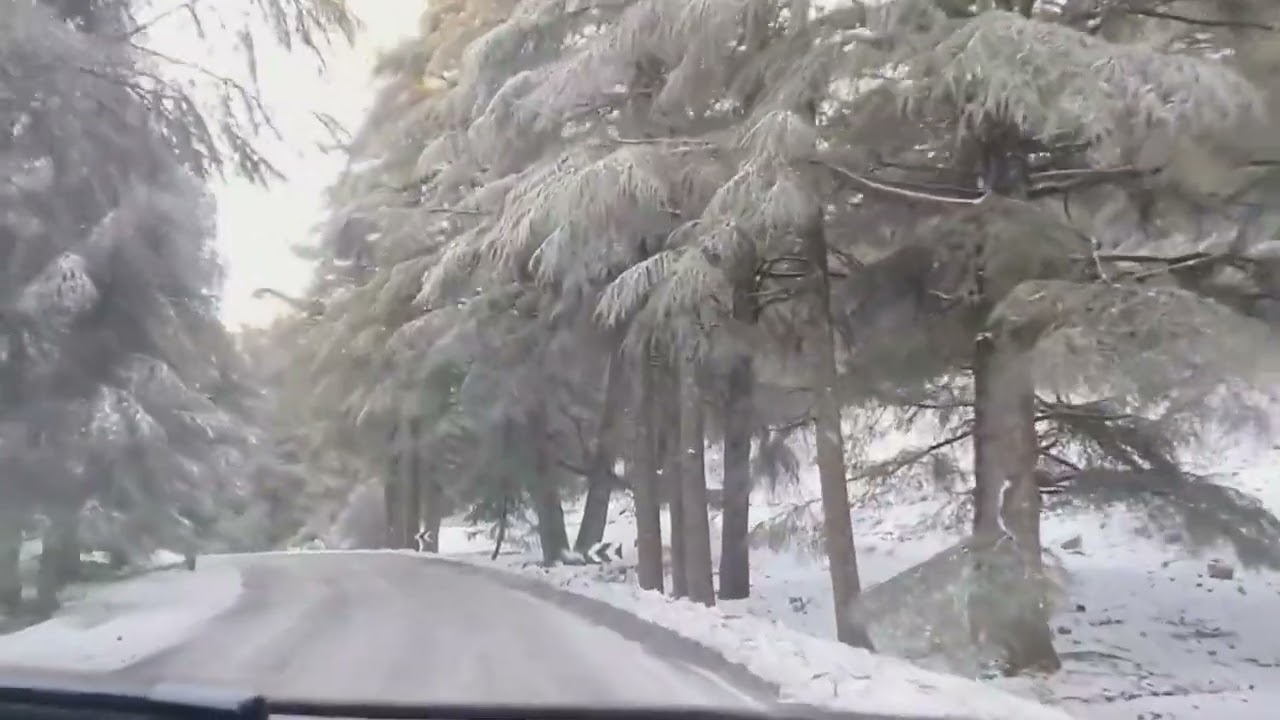 افران اليوم واش بصاح كاين الثلج فإفران 🤔 الأجواء فميشليفن 😍