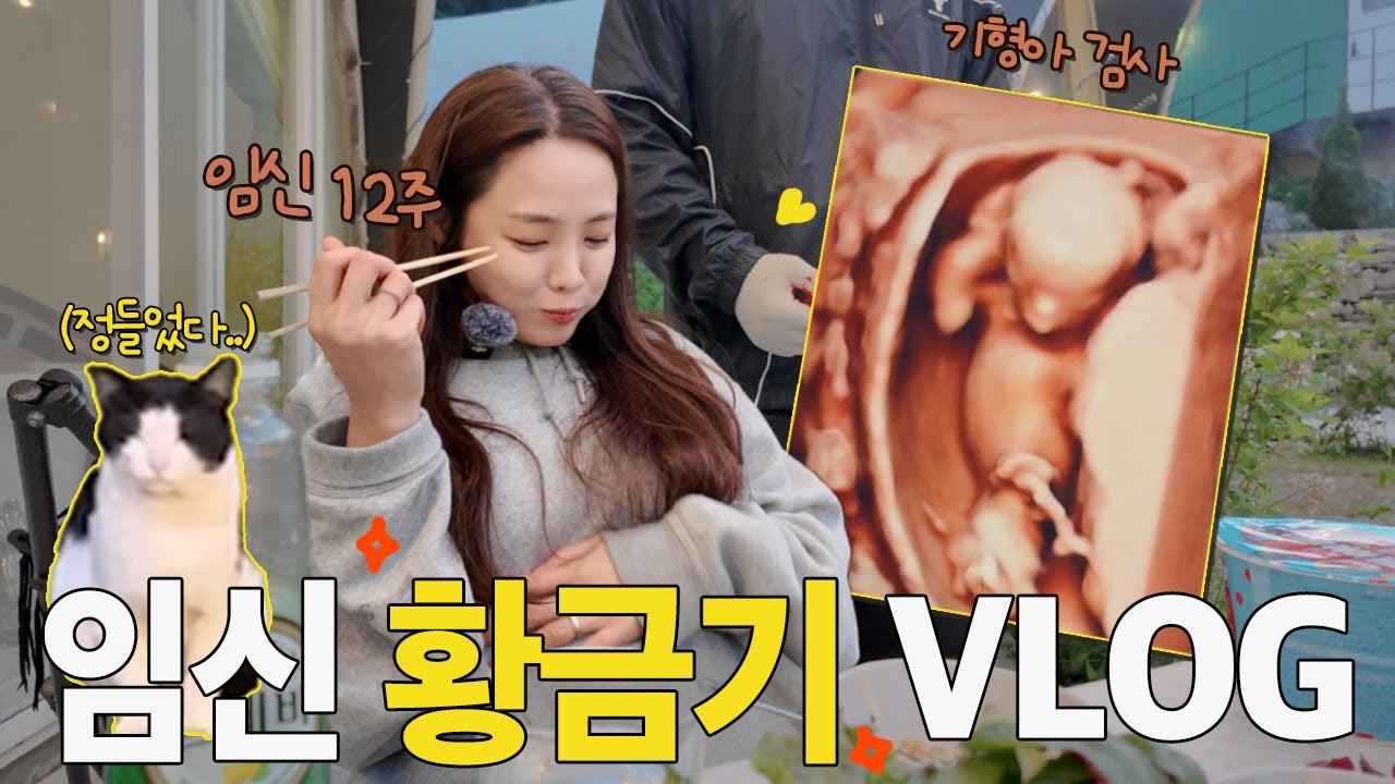 이것이 임신 황금기다✨ 임신 11-13주 브이로그 모음집 💚입덧 먹덧 사라지고 살빠짐 | 다정미 군인🫡 남편이랑 가평 글램핑| 노산(?) 니프티 기형아 검사 | 요리 시작(ENG)