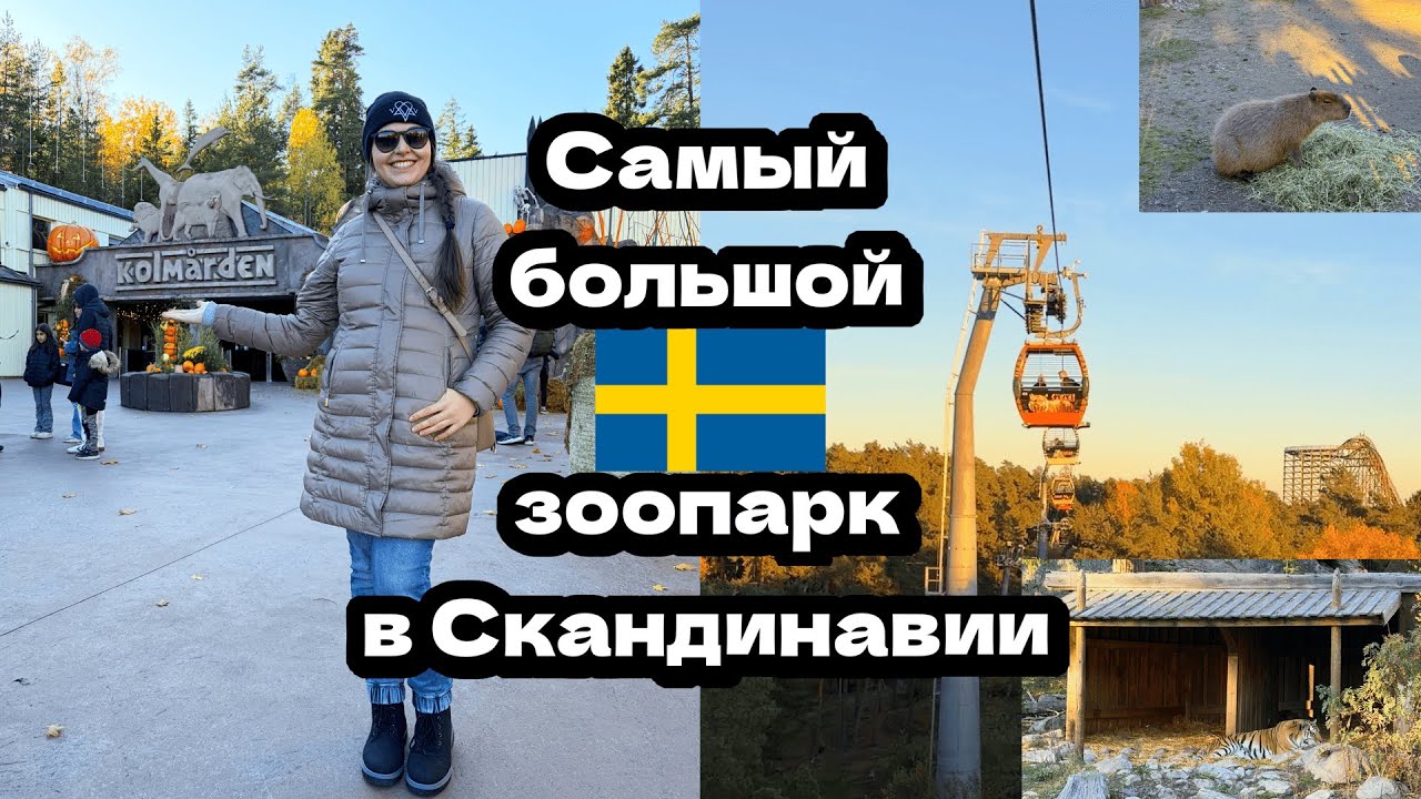 Самый большой зоопарк в Скандинавии! Влог из Швеции🇸🇪