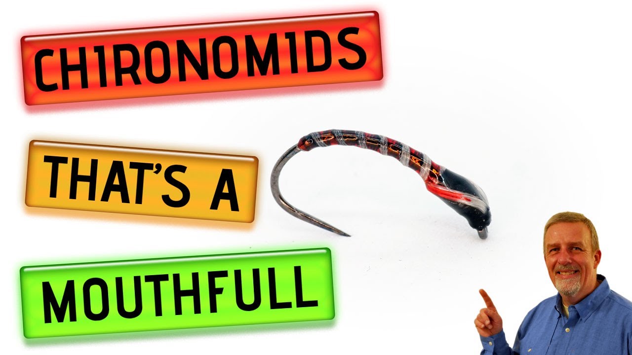 How to tie a Chironomid Fly Pattern #Flyfishing #Flytying