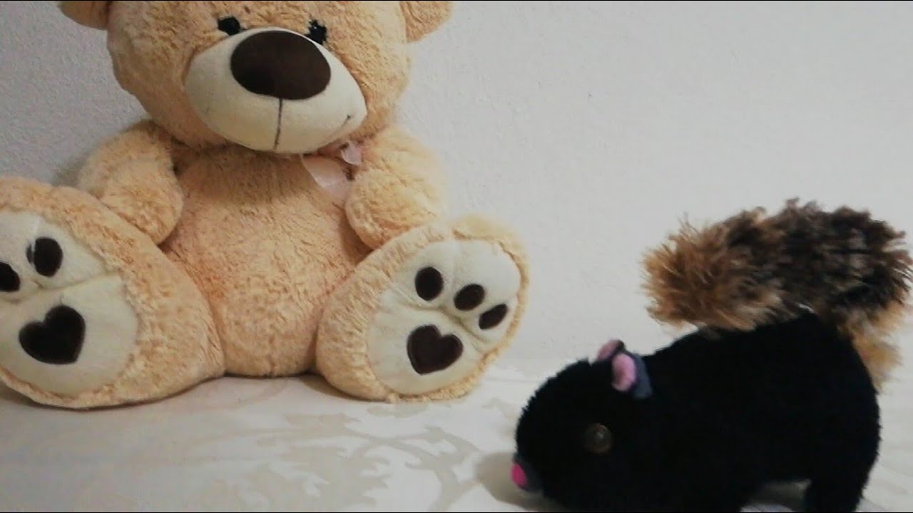 Σκιουράκια VS Αρκουδάκια | 11ο κυνήγι κρυμμένου θησαυρού