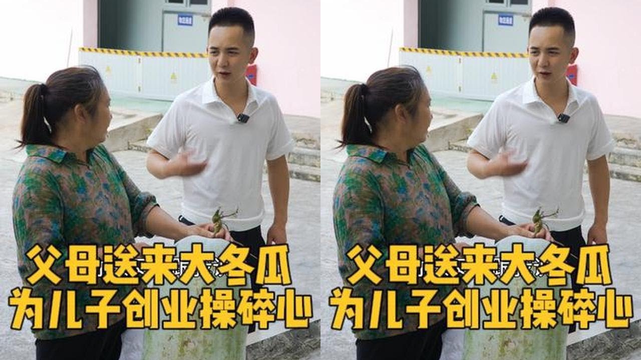父母为儿子创业操碎了心，蔬菜自己都舍不得吃，这样的家庭你喜欢吗