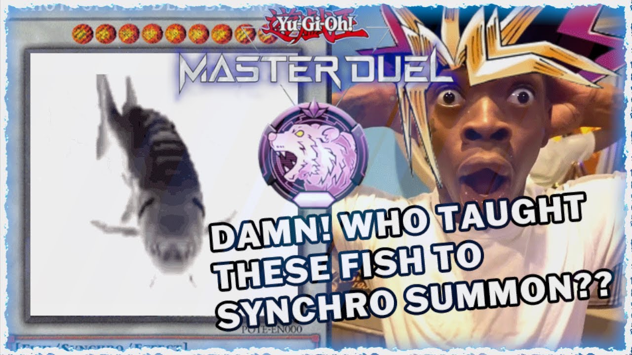 GHOTI - EATING THE META | DIAMOND REPLAYS