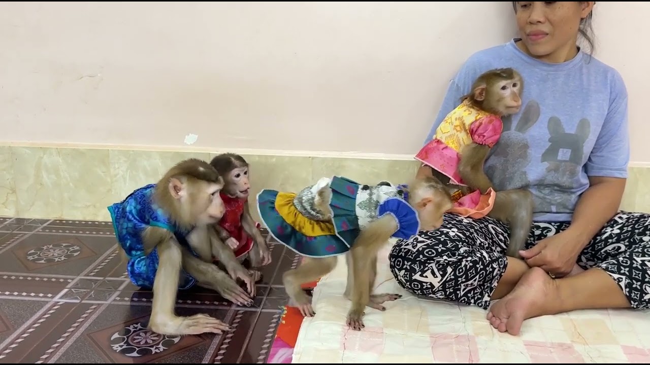 Most Caring Sovan & Kobie Come To Check On Sister Jula With Much Love & Worry ,
