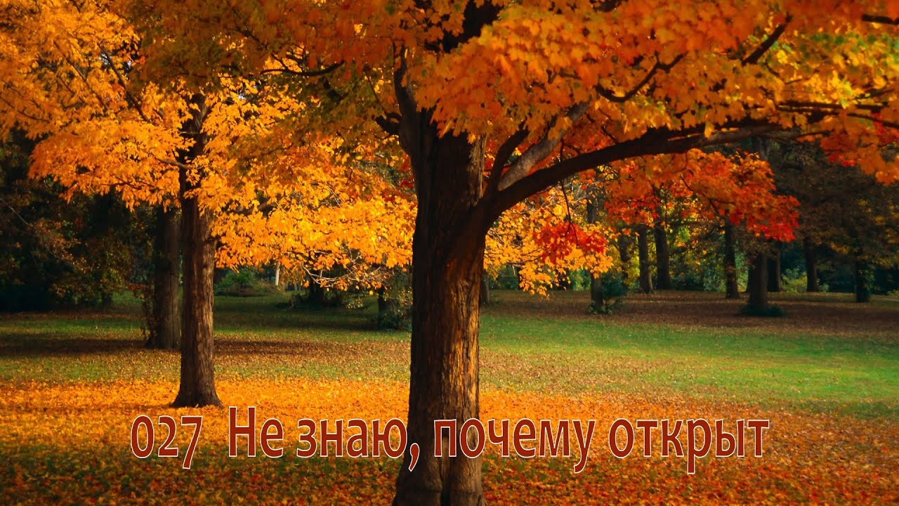 027 Не знаю, почему открыт