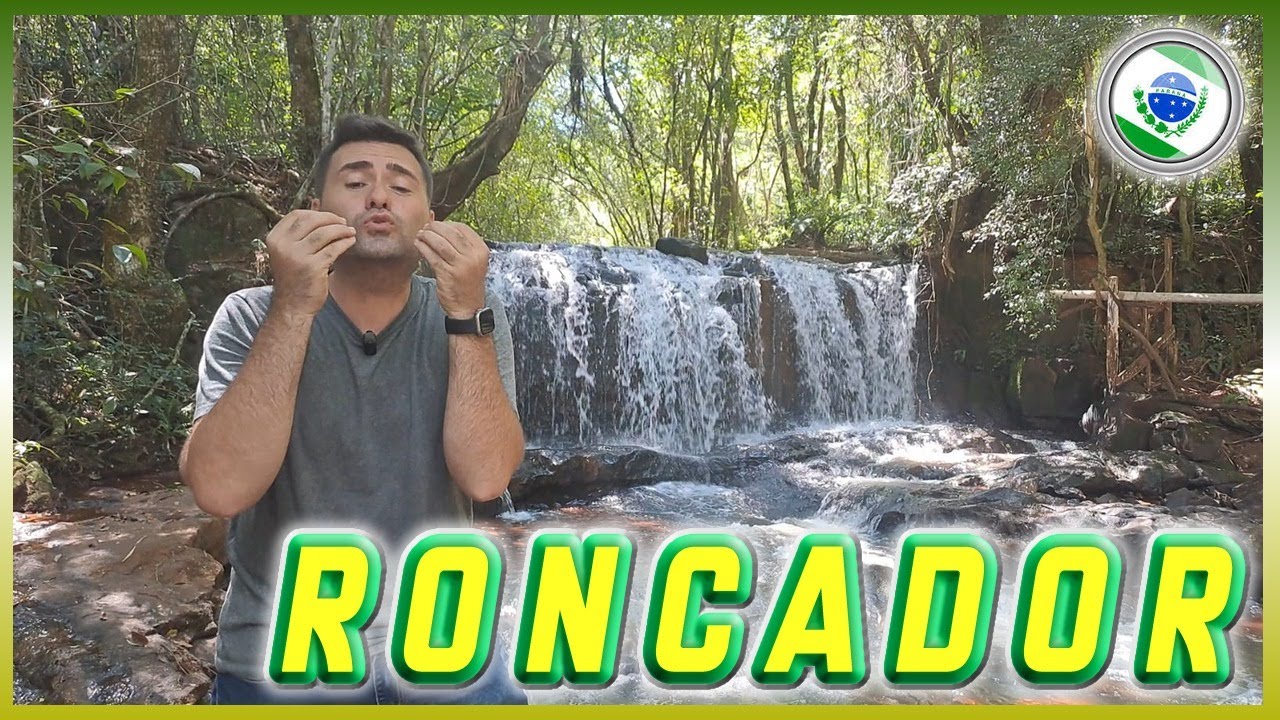 Conheça RONCADOR (PR)