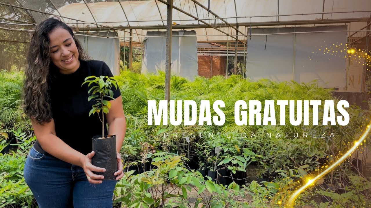 DOAÇÃO DE MUDAS NO JARDIM BOTÂNICO DE PAULÍNIA - UM PRESENTE DA NATUREZA!
