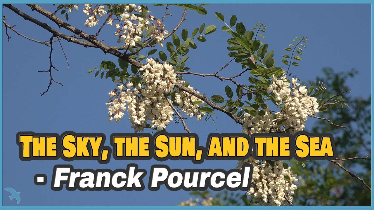 [4K] Franck Pourcel - The Sky, the Sun, and the Sea 1966
