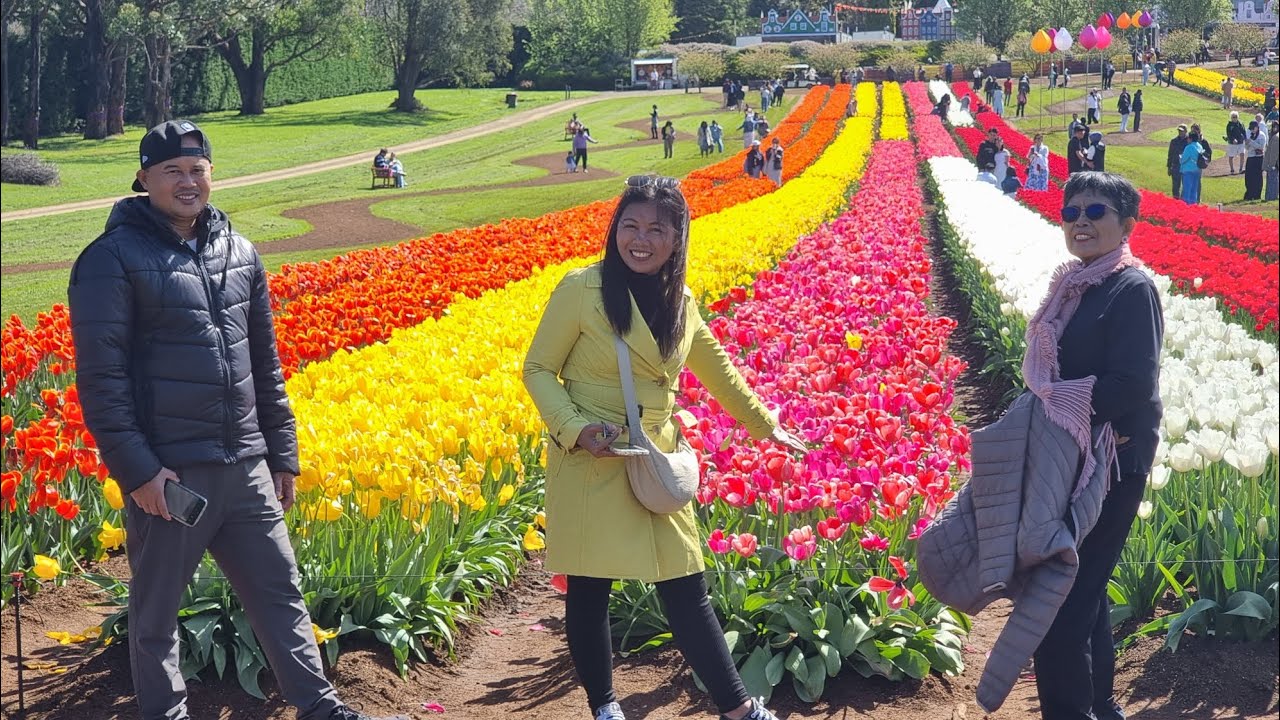 Tesselaar Tulip Festival in Melbourne 2024