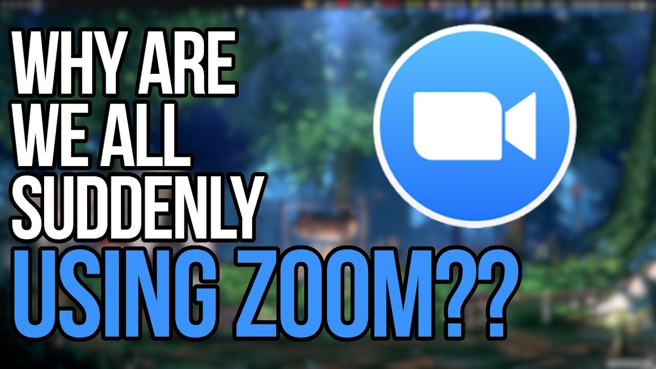 You Guys Know Alternatives To Zoom Actually Exist Don't You??