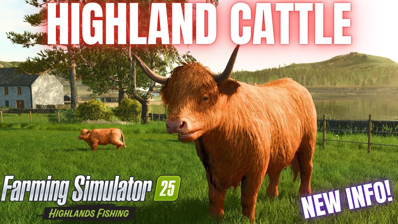 EVERYTHING ABOUT HIGHLAND CATTLE! - Farming Simulator 25