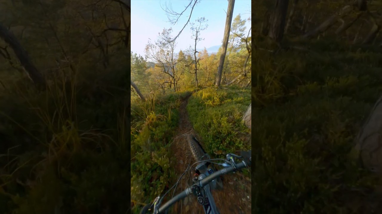 Golden hour on the ridge. #gopro #maxlensmod