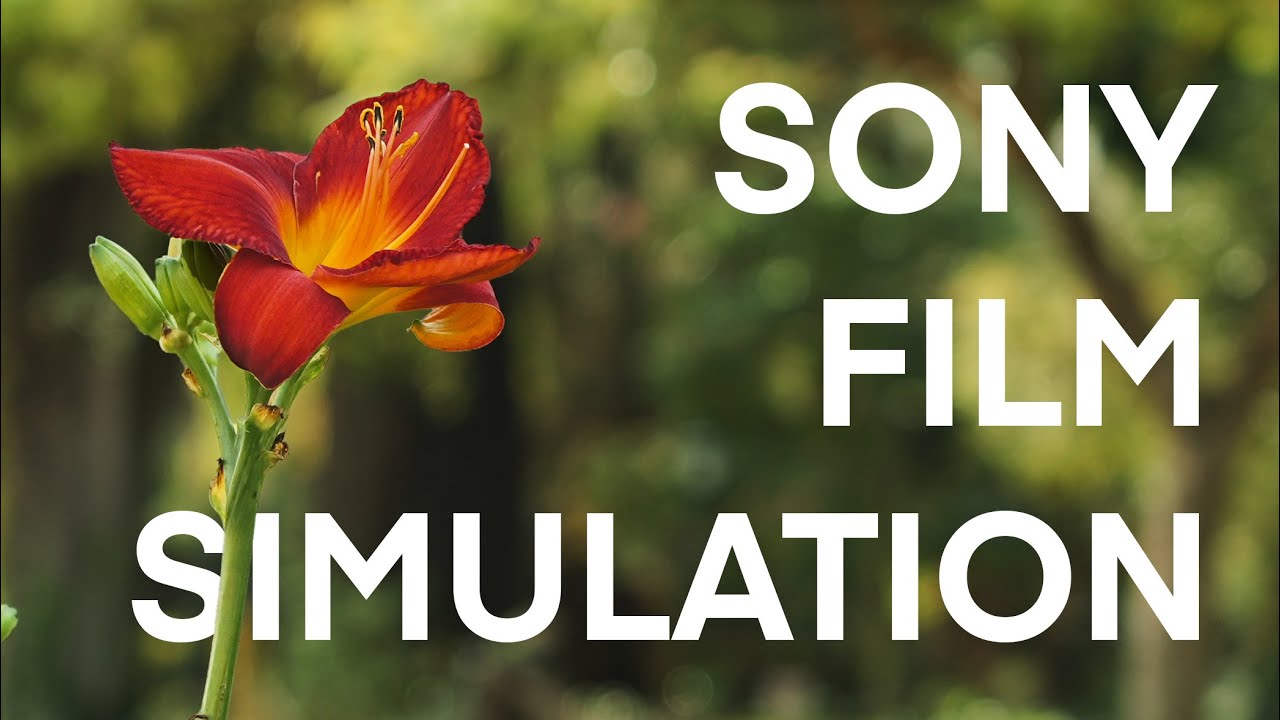 I've finally nailed my Sony JPEG Film Simulation