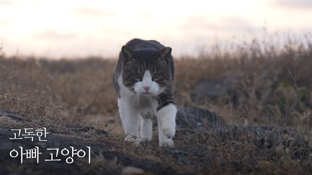 쓸쓸한 아빠의 바다