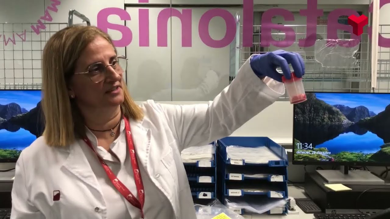 Prova pilot a M&uacute;tuaTerrassa per augmentar les donacions de cord&oacute; umbilical