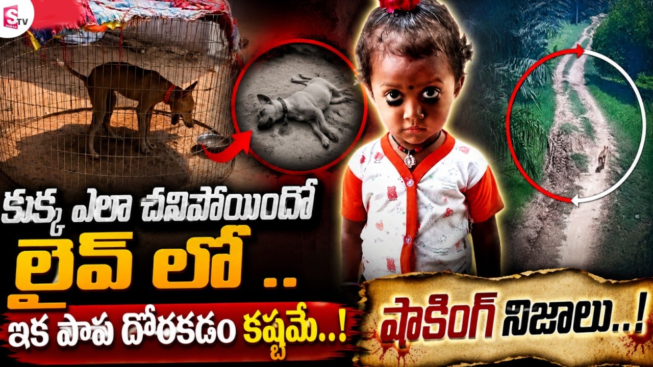 🔴Live : కుక్కకు పోస్ట్ మార్టం|Twist In Jahnavi Missing Case | Kakinada Tuni Girl Incident | SumanTV