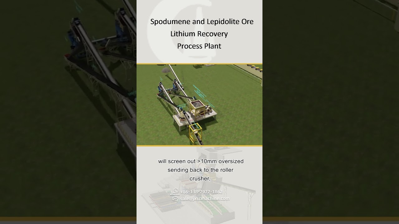 Lithium recovery by flotation of spodumene and lepidolite ores
