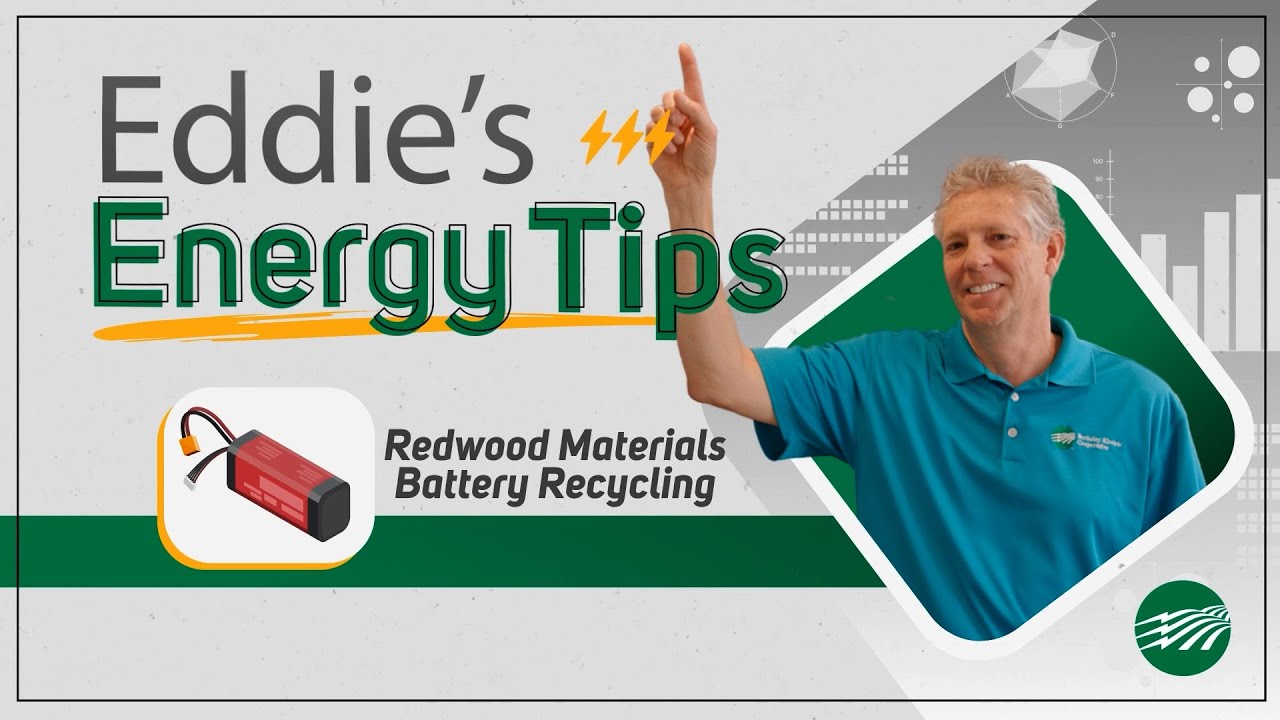 Eddie's Energy Tips - Battery recycling