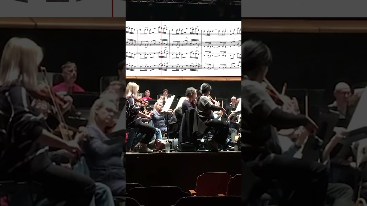 Ravel: Bol&eacute;ro &ndash;&nbsp;(Excerpt)  #classicalmusic #orchestra #ravel #bolero