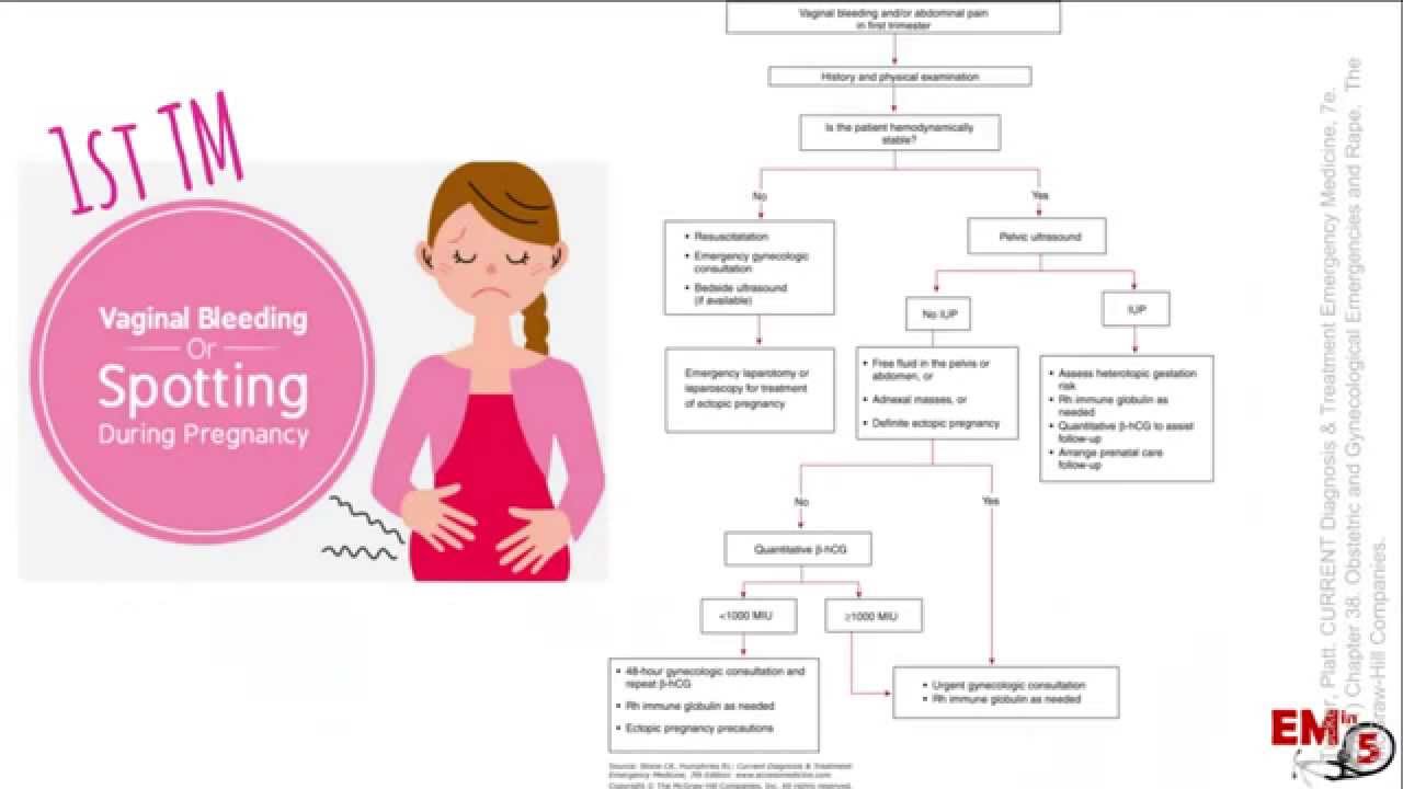 Pregnant Vaginal Bleeding  1st TM