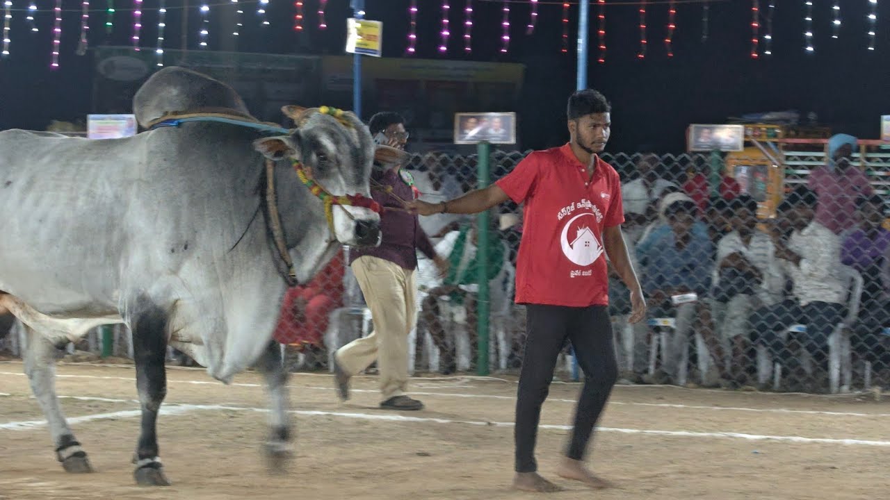 2026-రెంటచింతల.సీనియర్స్.15వ జత.MVSR బ్రదర్స్ M.రామసుబ్బారెడ్డి గారు T.హుసేనాపురం నంద్యాల జిల్లా