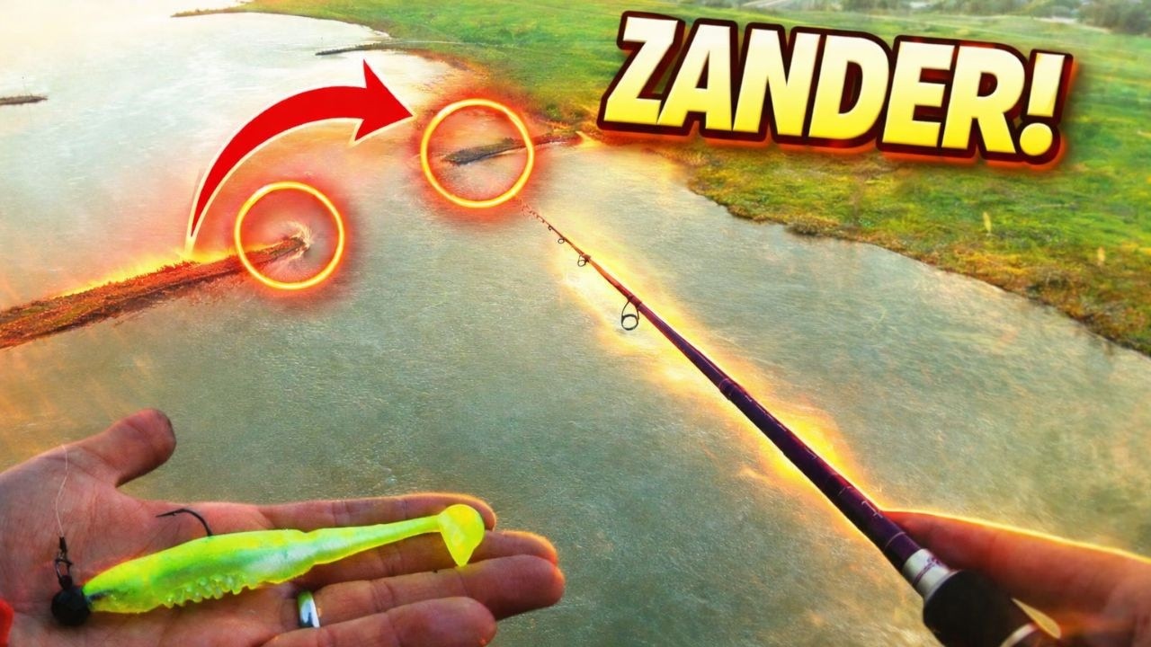 Die meisten Angler übersehen DIESEN ZANDER - Spot!