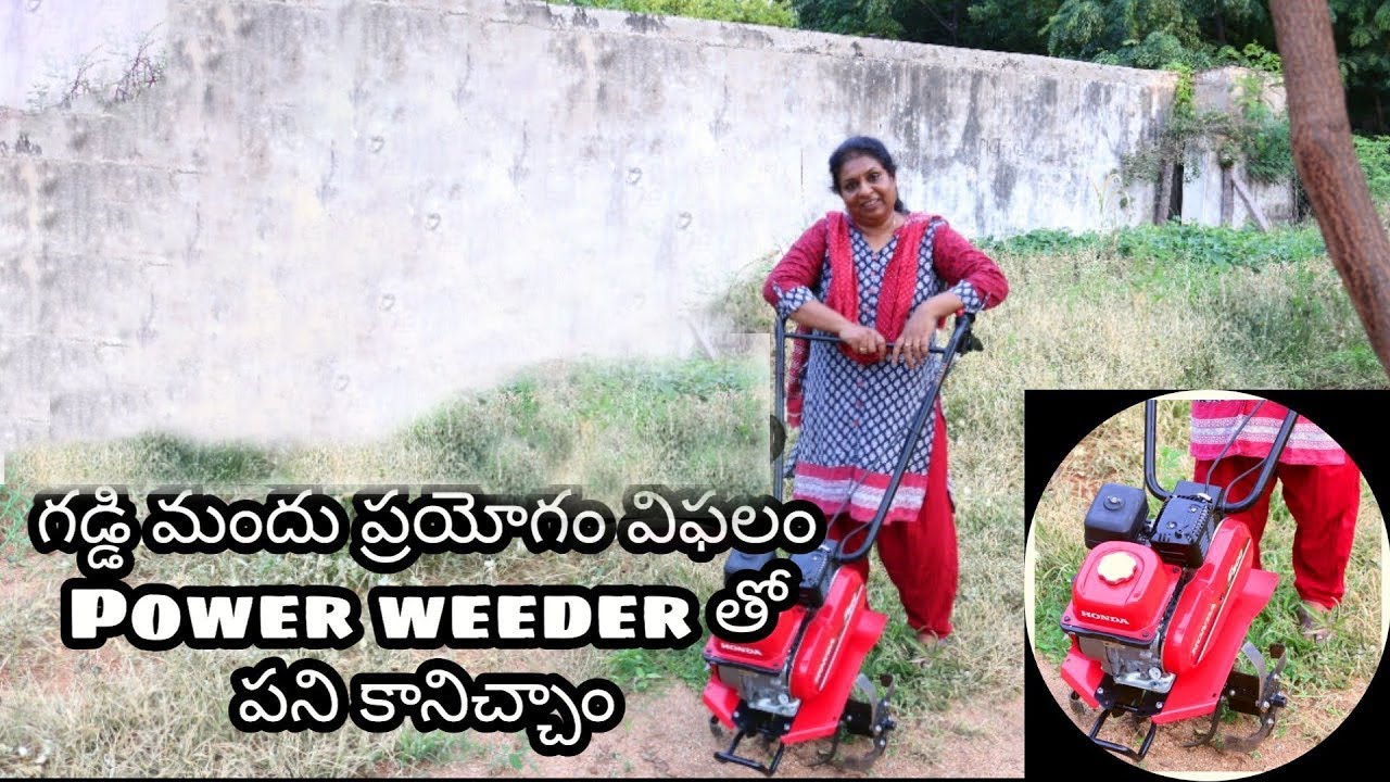 Natural కలుపు మందు experiment failed/power weeder