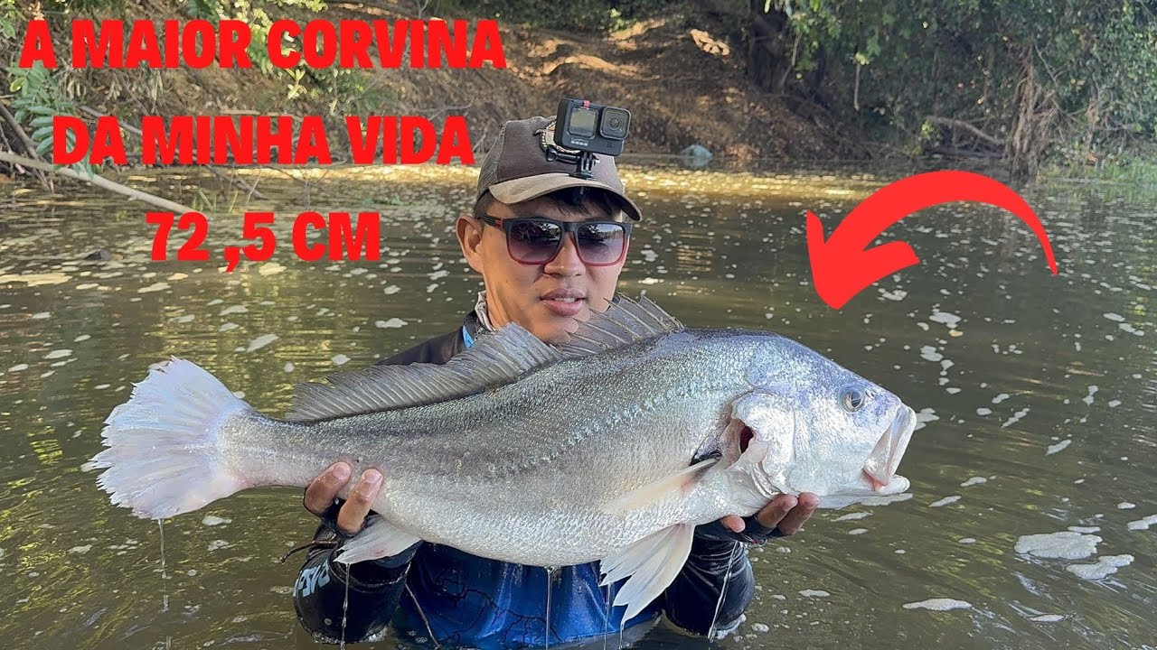 PESCARIA DE JUMPING JIG: O MAIOR EXEMPLAR DE CORVINA DA MINHA VIDA.