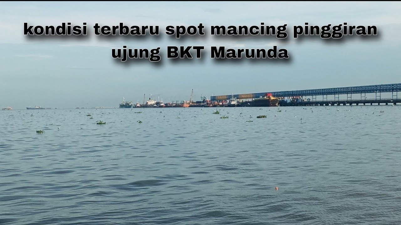 Kondisi terbaru Spot Mancing Pinggiran di laut Ujung BKT Marunda, Jakarta Utara 