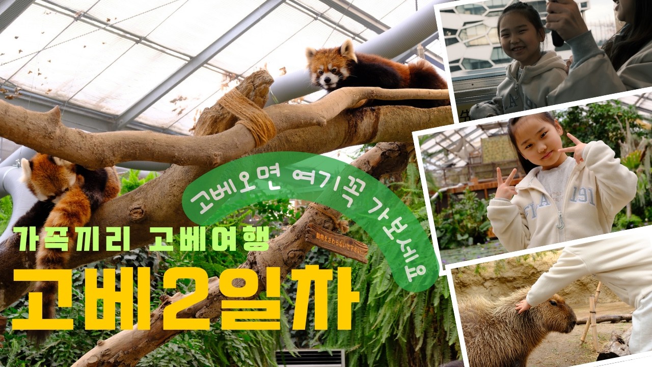 고베여행2. 여기 꼭 가보셔야 해요! (고베 동물 왕국 싸게 가는 꿀팁🍯) #고베여행 #고베아이랑 #고베2박3일 #일본고베 #고베동물원 #고베동물왕국