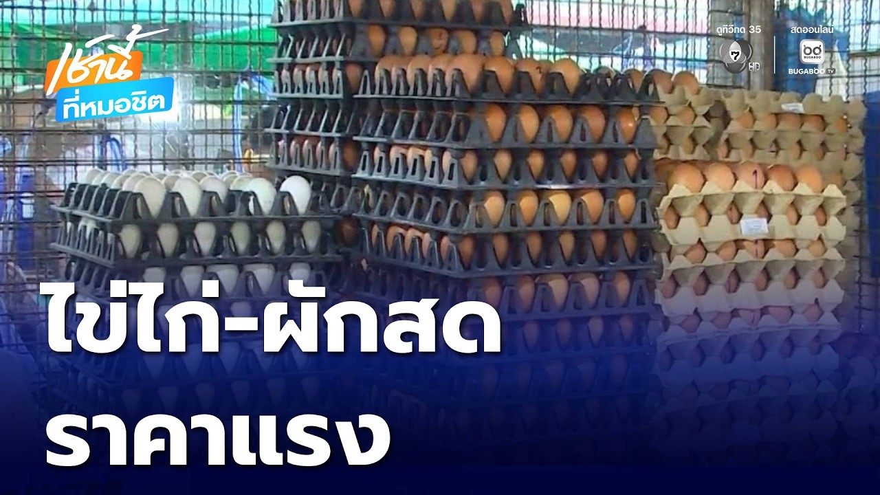 ไข่-ผัก ราคาแรง | เช้านี้ที่หมอชิต