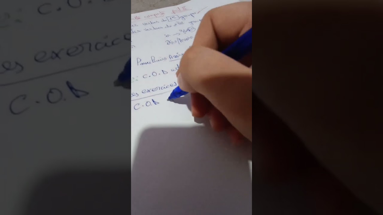 Part 2 le passé composé ( verbes du 2eme groupes)