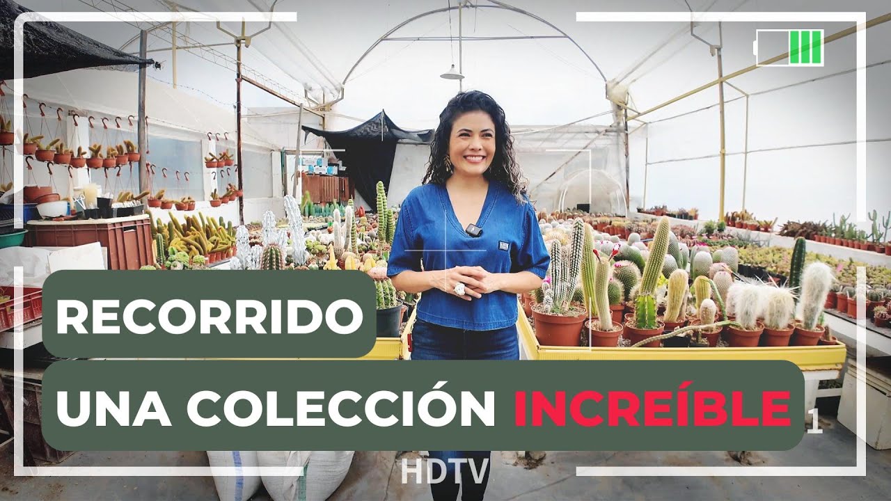 😍💥🌿🌵NUNCA había visitado un coleccion con tanta VARIEDAD🌿🌵💥 Conocerás plantas INCREÍBLES