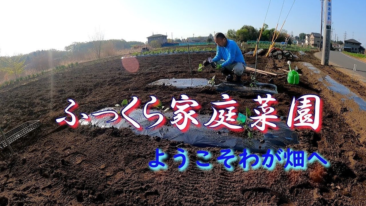 【ふっくら家庭菜園①】畑3年目の初老が美味しい野菜を作れるのか？｜ようこそ我が畑へ