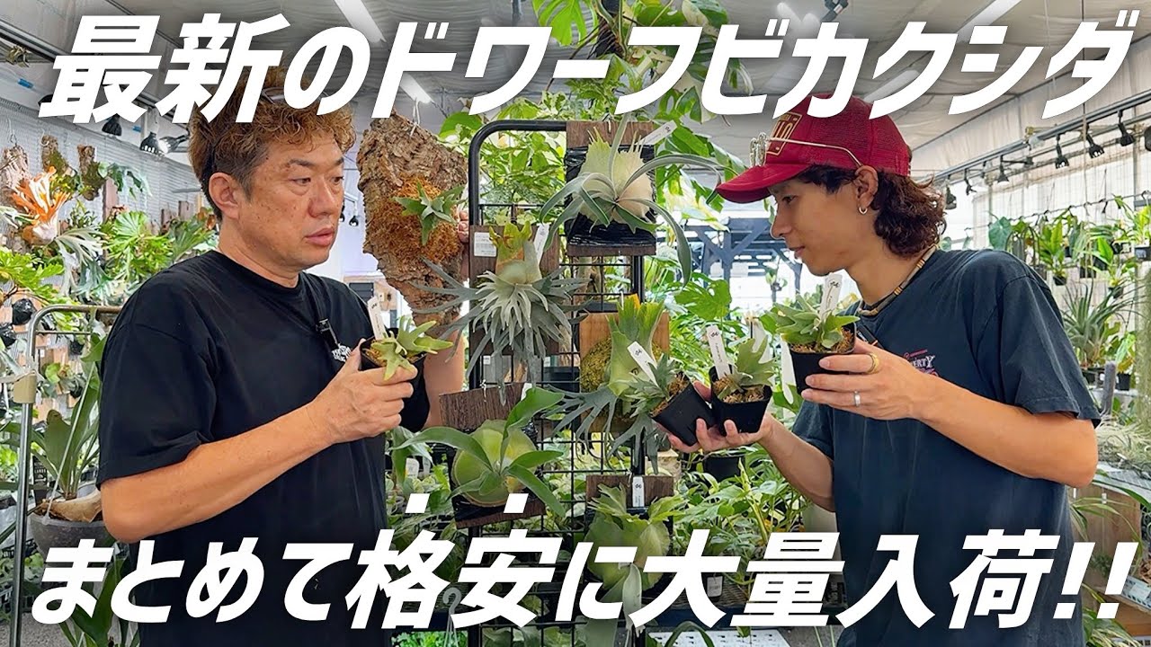 省スペース性が抜群な最新