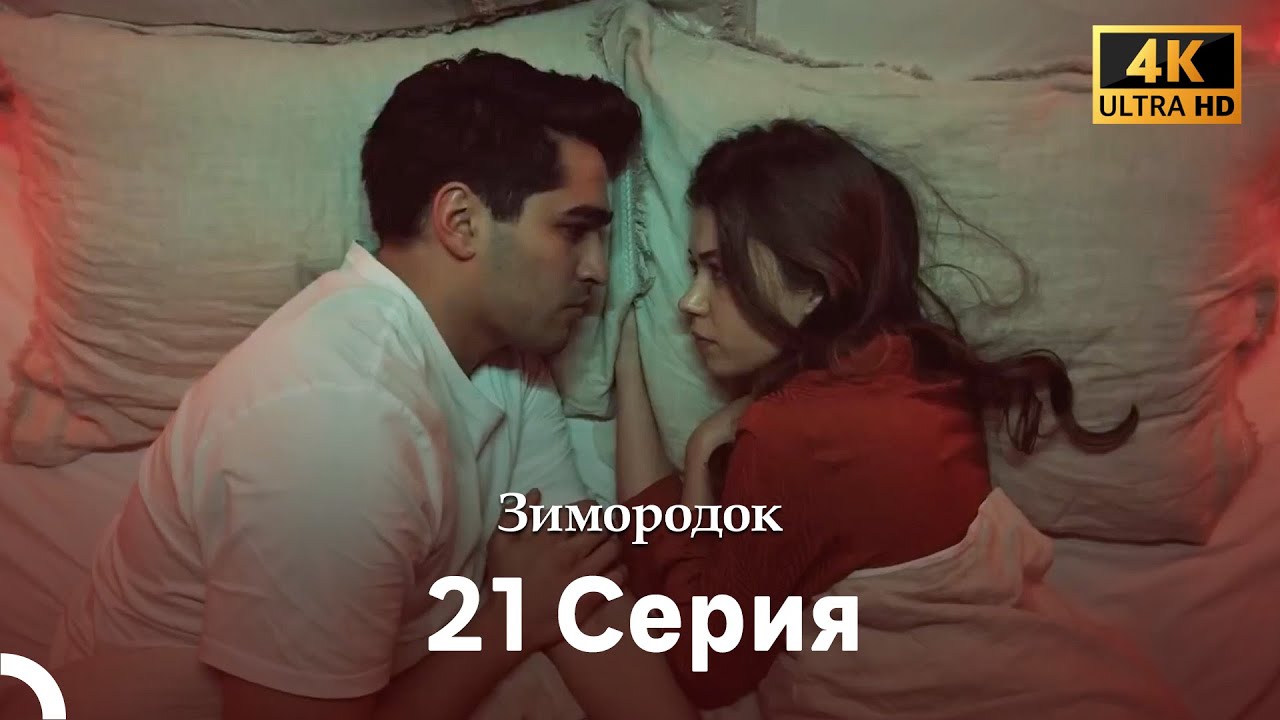 Зимородок 21 Cерия (Русский дубляж) (4K)