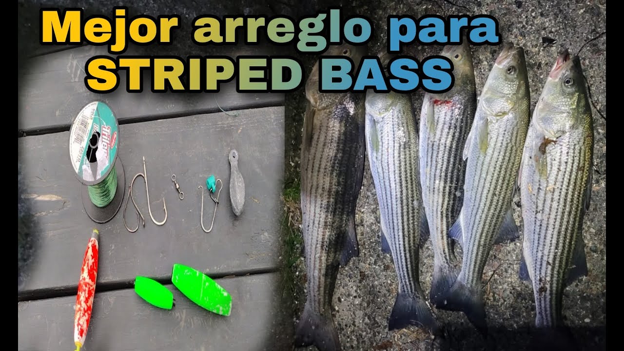 Лучшее крепление лески Снасть для рыбалки STRIPED BASS 100 EFFECTIVE LINE WITH SUBMERSIBLE FLOAT