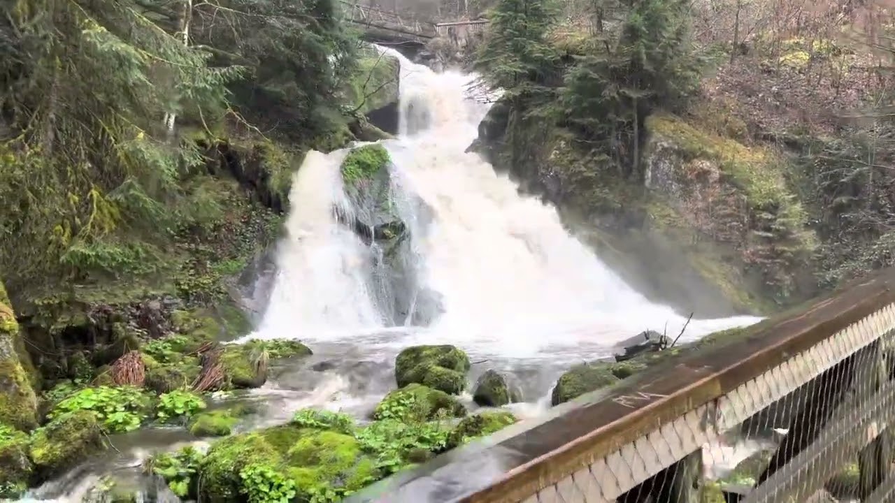 Waterfall in Triberg Germany Black Forest 8 Euros to Enter and Super Impressive!