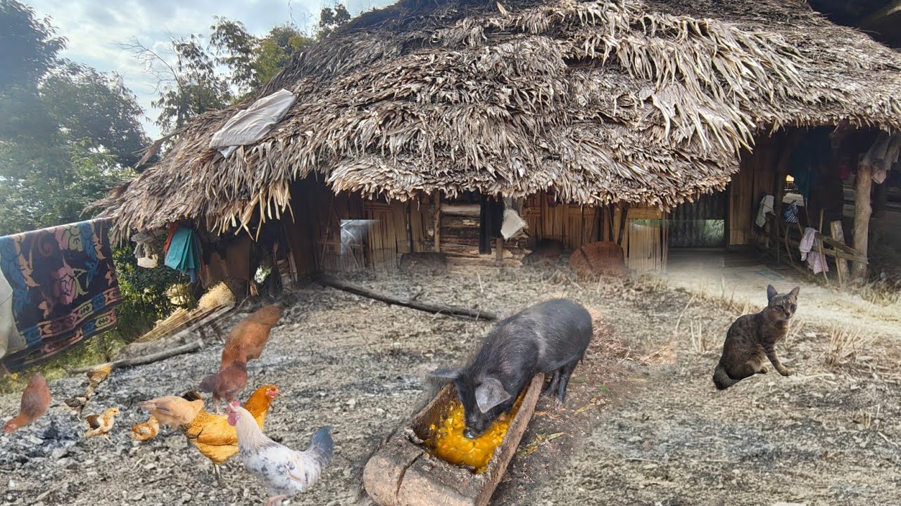 Village life near Burma Border | remote place | Easy or Hard?