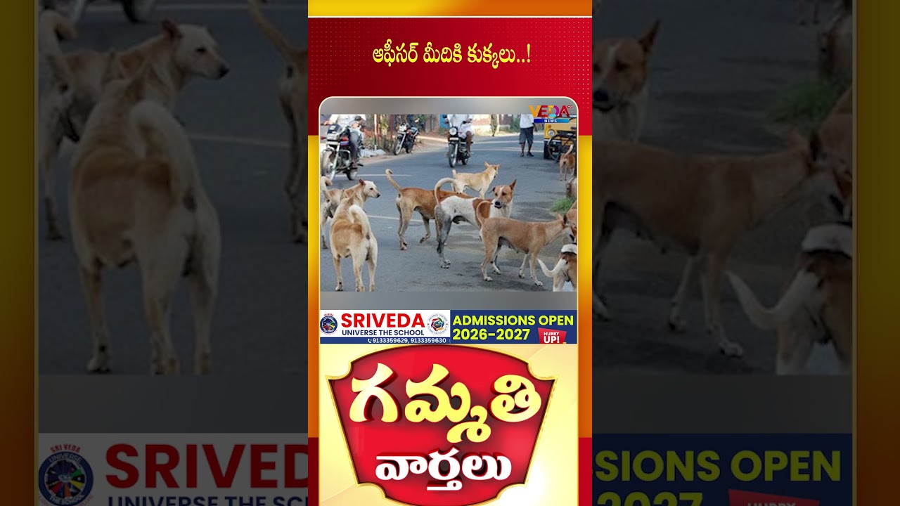 ఆఫీసర్ మీదికి కుక్కలు..! | Gammathi Varthalu | Veda TV News