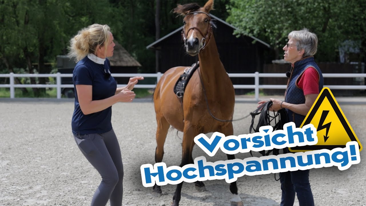 Hysterische  Stute  lässt sich nicht reiten und steht ständig unter Strom - Mysterium auf der Spur