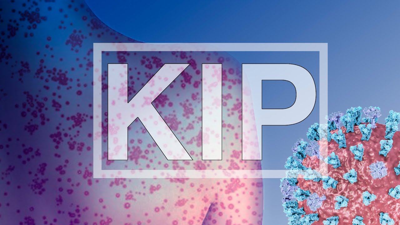 Кір. Вірус кору (measles morbillivirus)