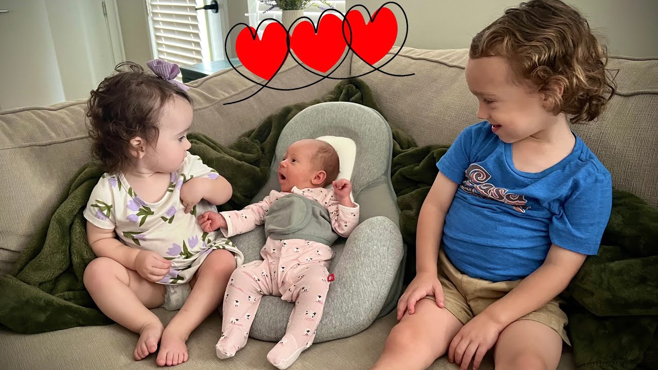 Наш новый член семьи!