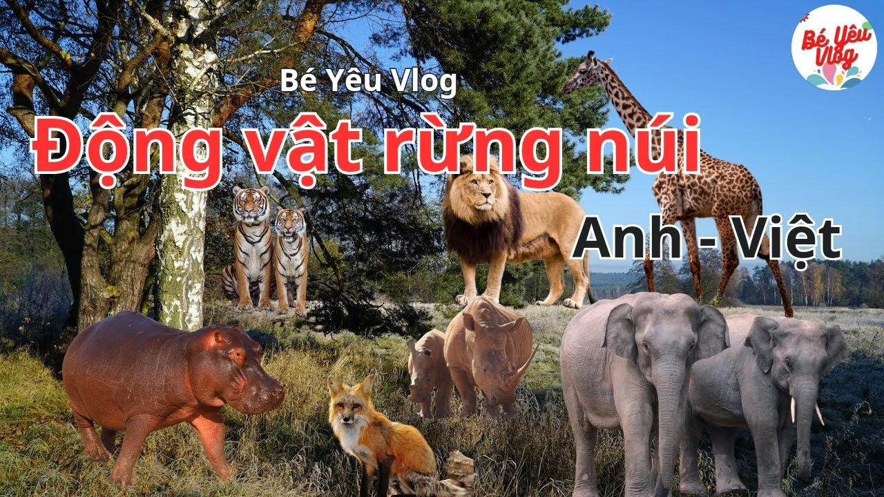C&aacute;c con vật bằng tiếng Anh || phần 5 ( động vật khu vực rừng n&uacute;i )