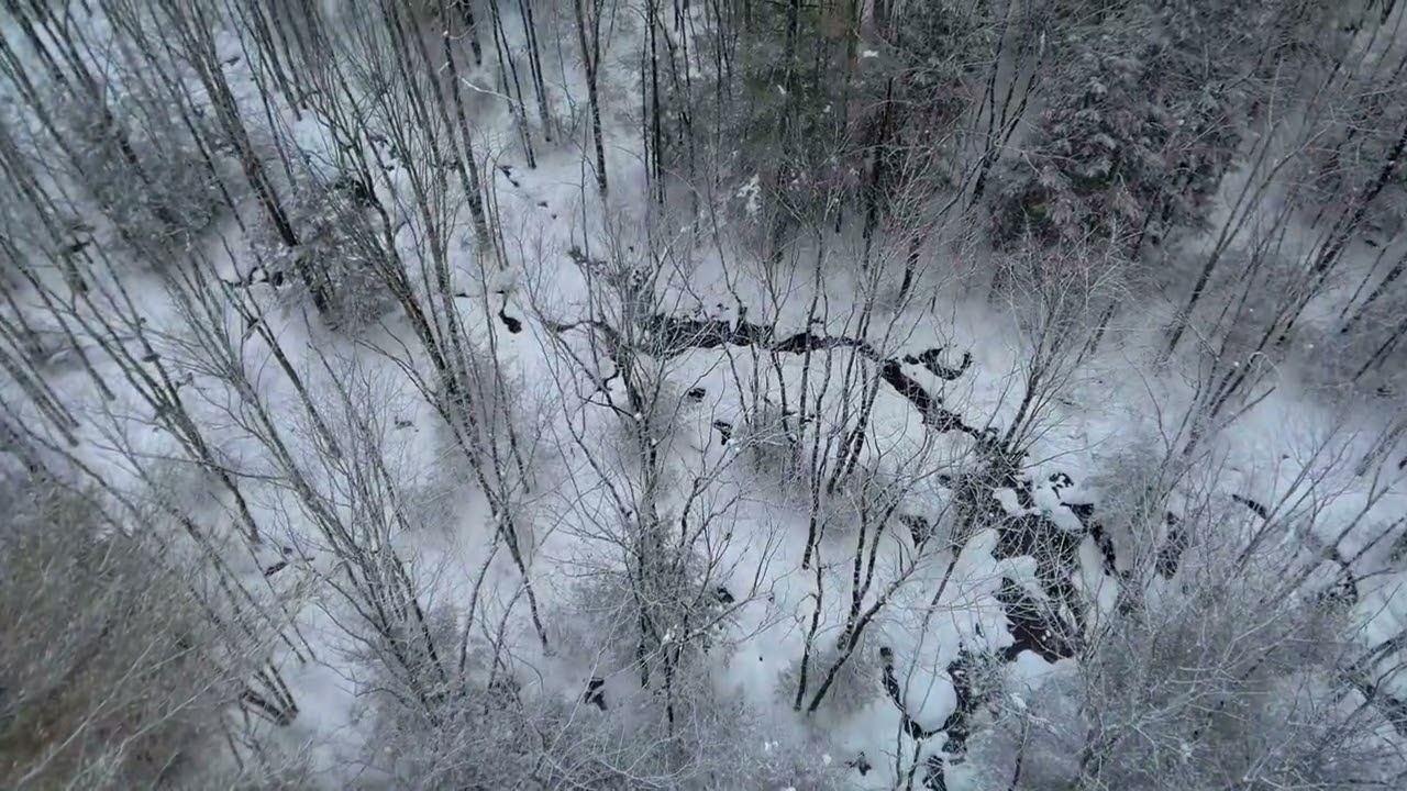 Drone flight 1