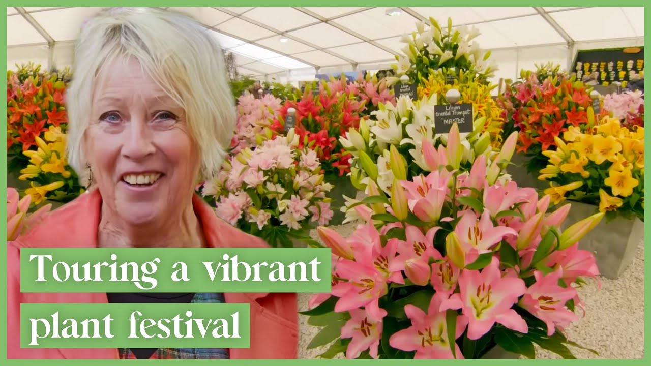Carol Klein Visits A Colorful Flower Festival! | Gardener's World