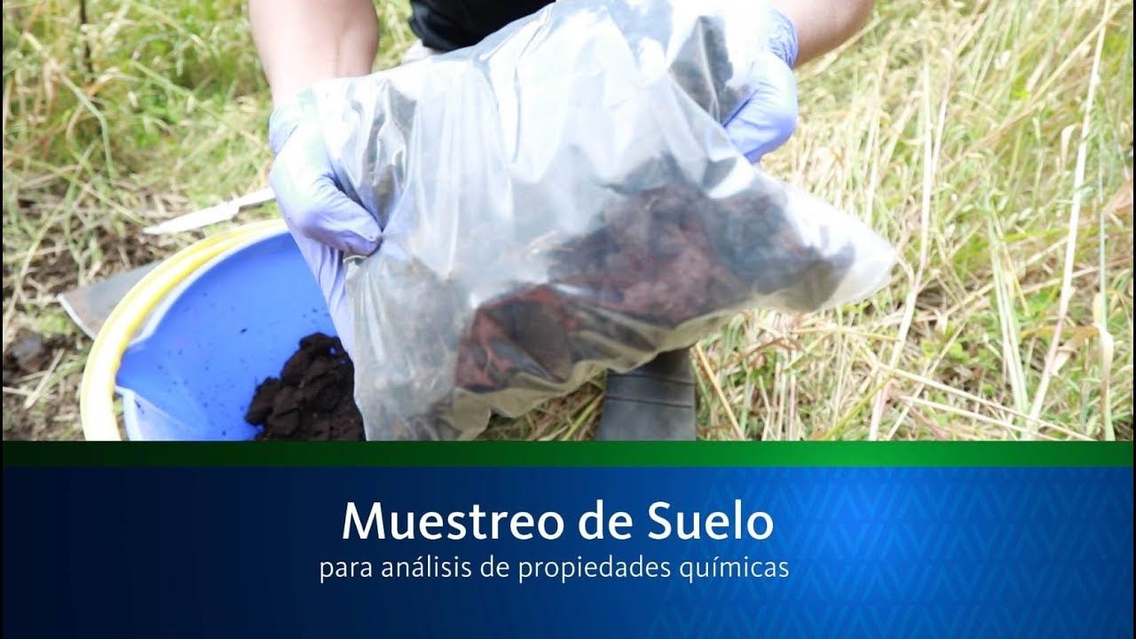 Muestreo químico para análisis de suelos